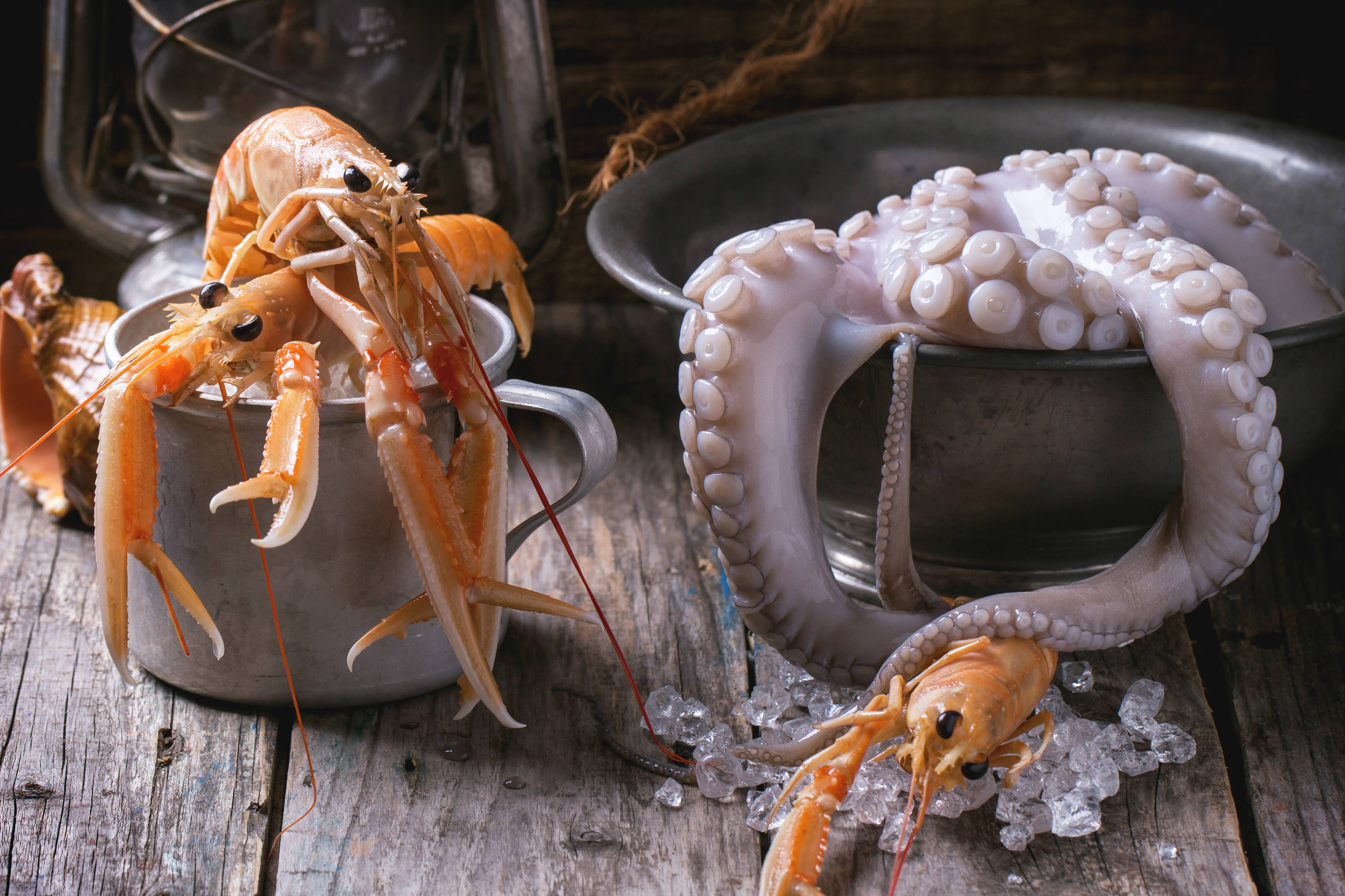  - Zafer'in Yeri Restaurant